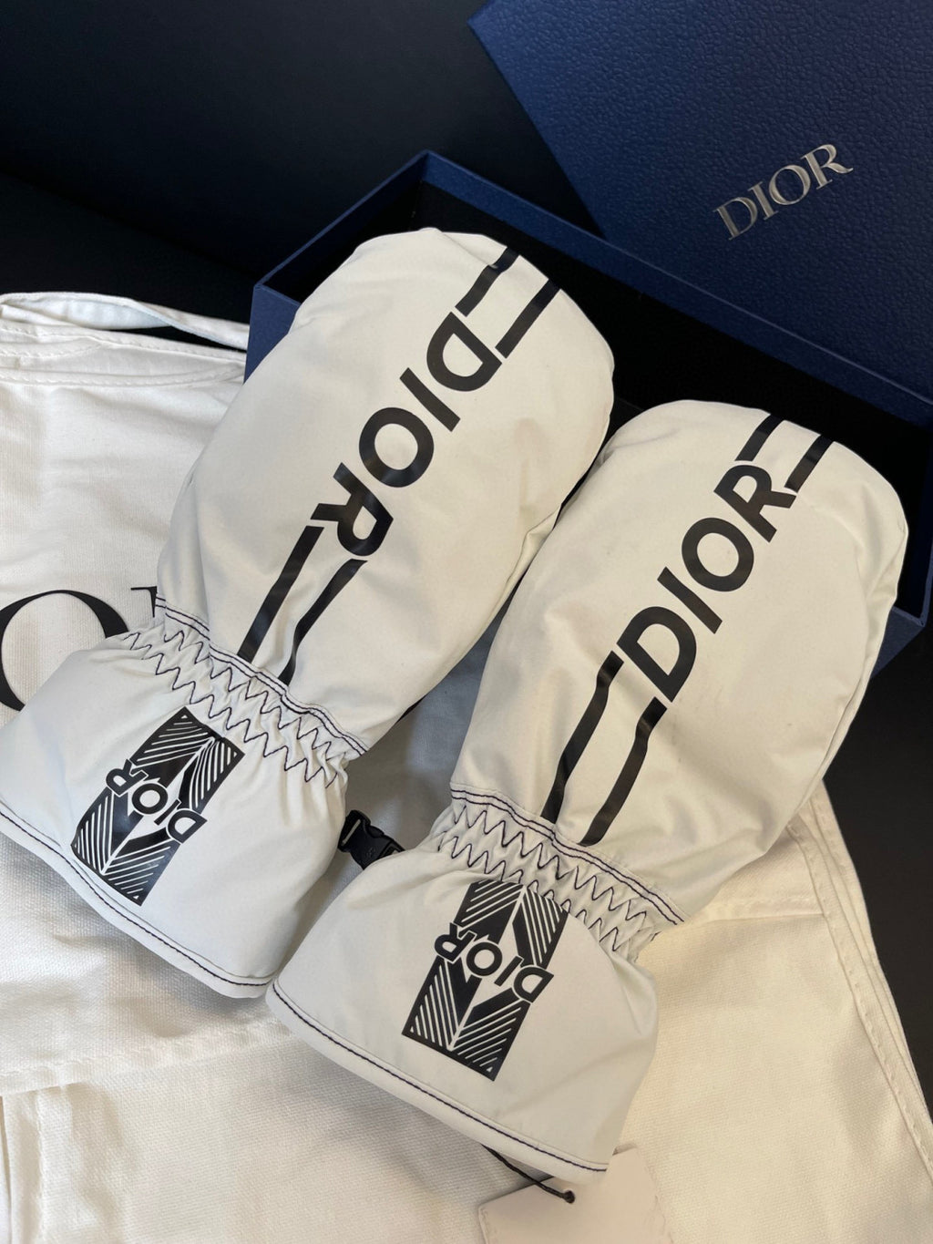 Dior Ski Jacket Pants Gloves 3 Piece Set Suit #96688