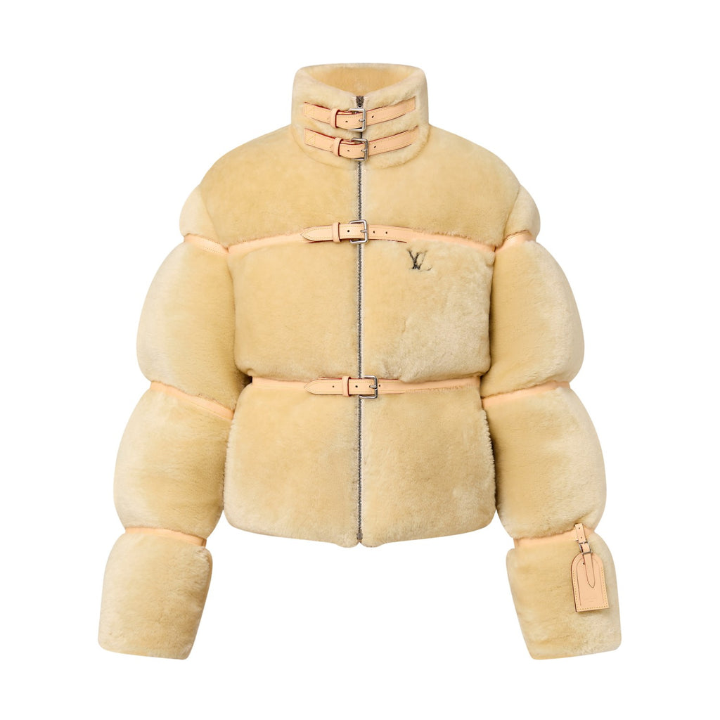 Louis Vuitton Autumn And Winter Wool Puffer Down Jacket #96761