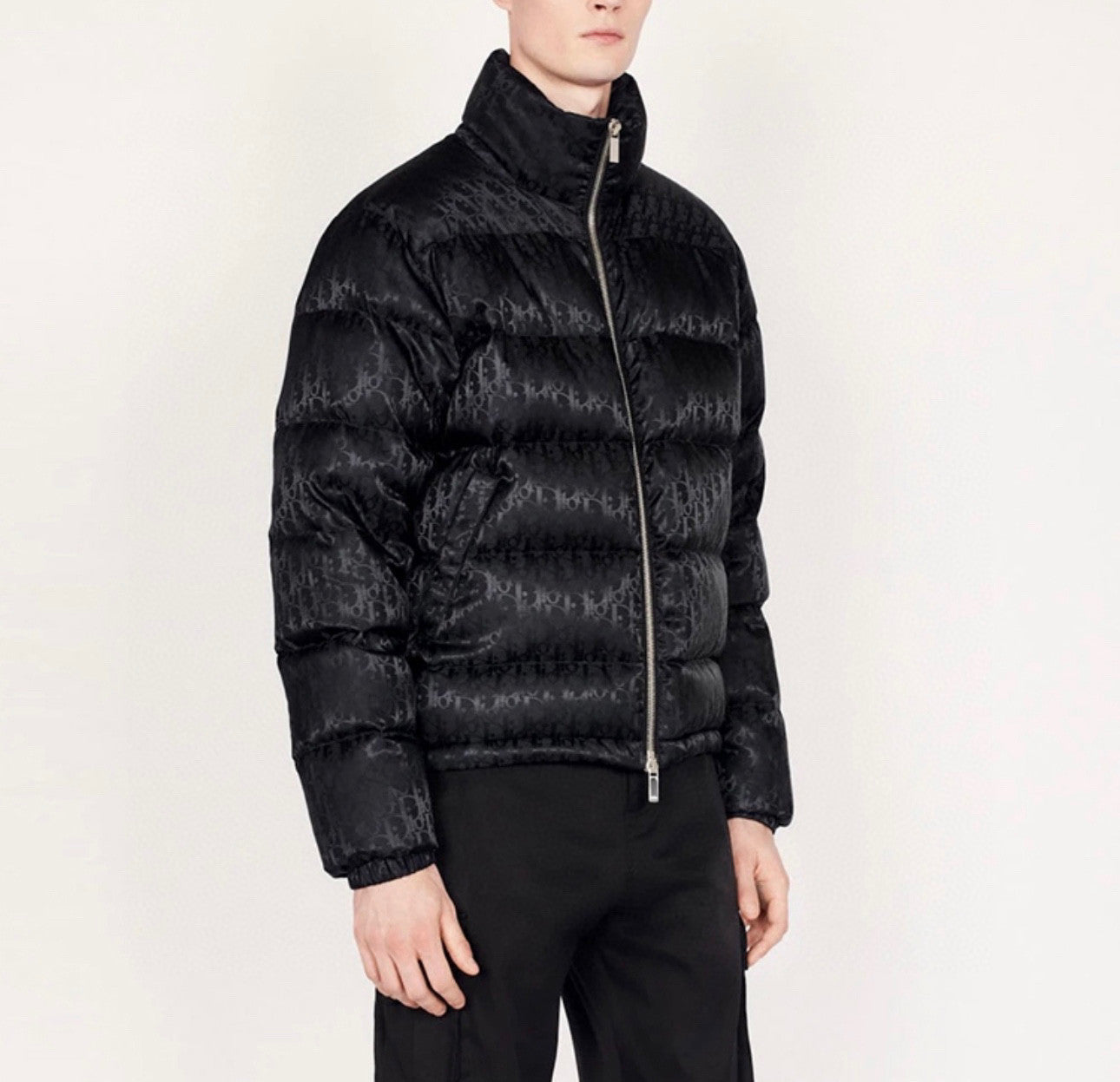 Dior Oblique Long Sleeve Zip Puffer Down Jacket #96496