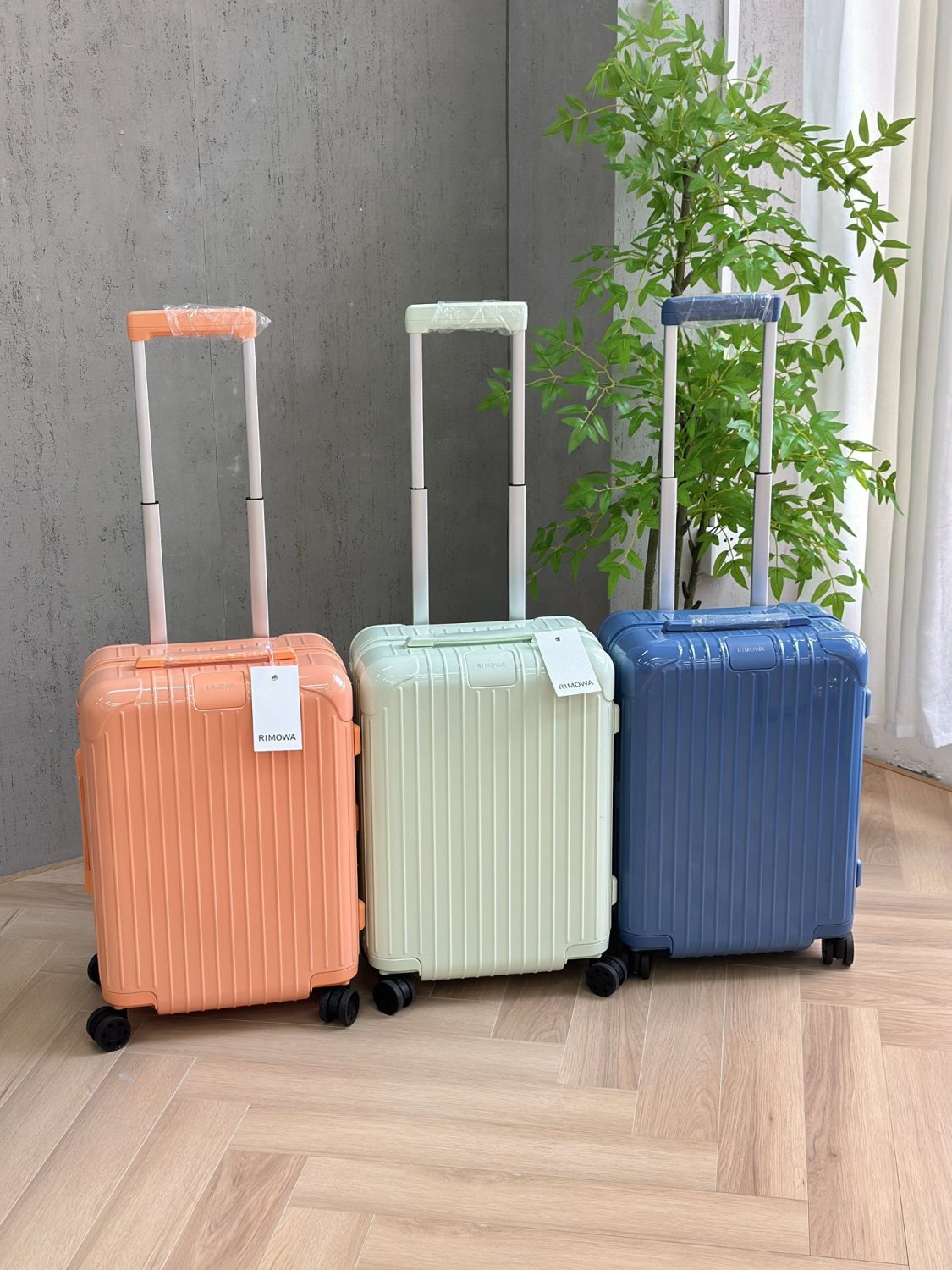 Rimowa Essential Series Five New Seasonal Limited-edition Luggage Models Available In Various Sizes Perfect For Short Trips Or Long Journeys Offering High-quality Luggage Box  #195323