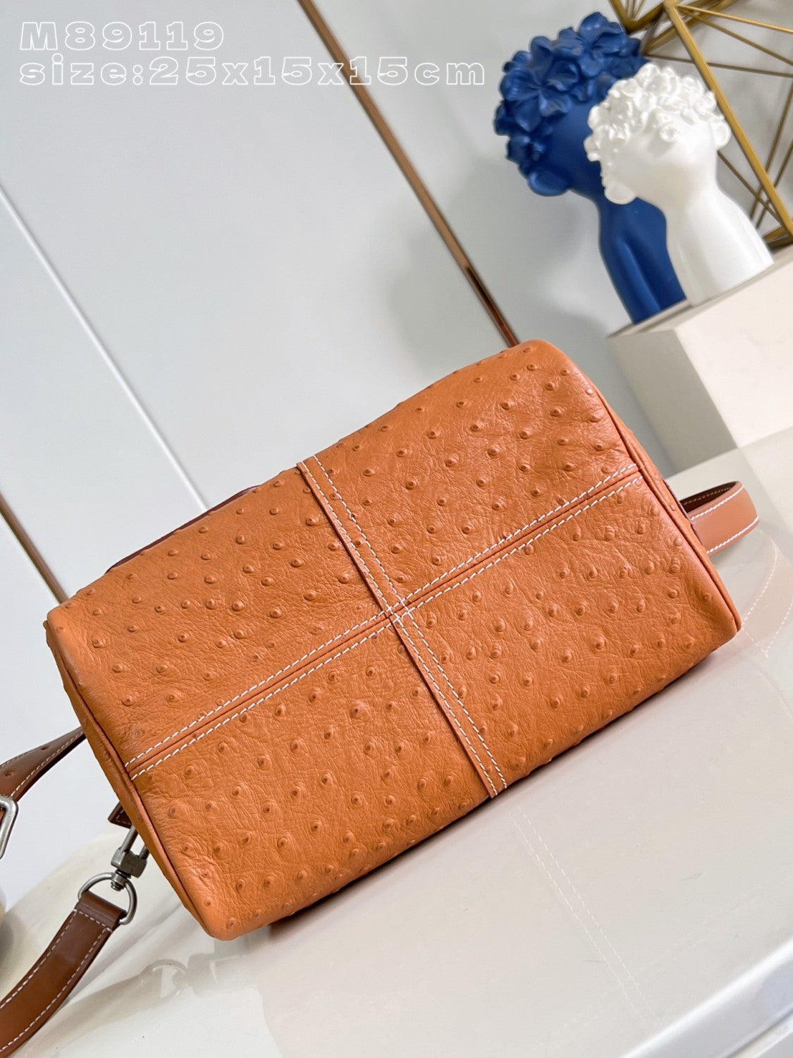 Louis Vuitton Lv Show Men's Speedy 25 Exotic Ostrich N89119 #377227