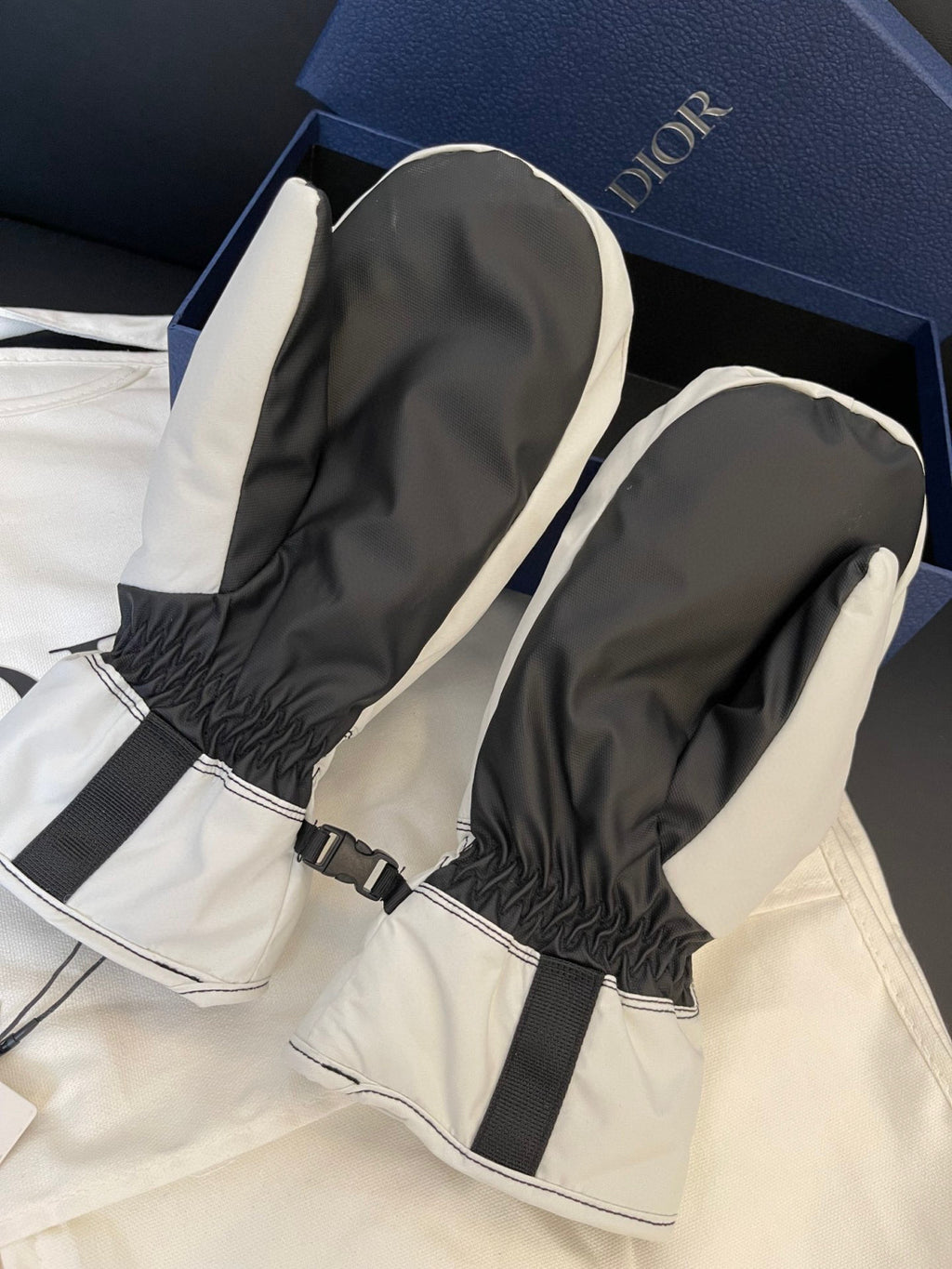 Dior Ski Jacket Pants Gloves 3 Piece Set Suit #96688