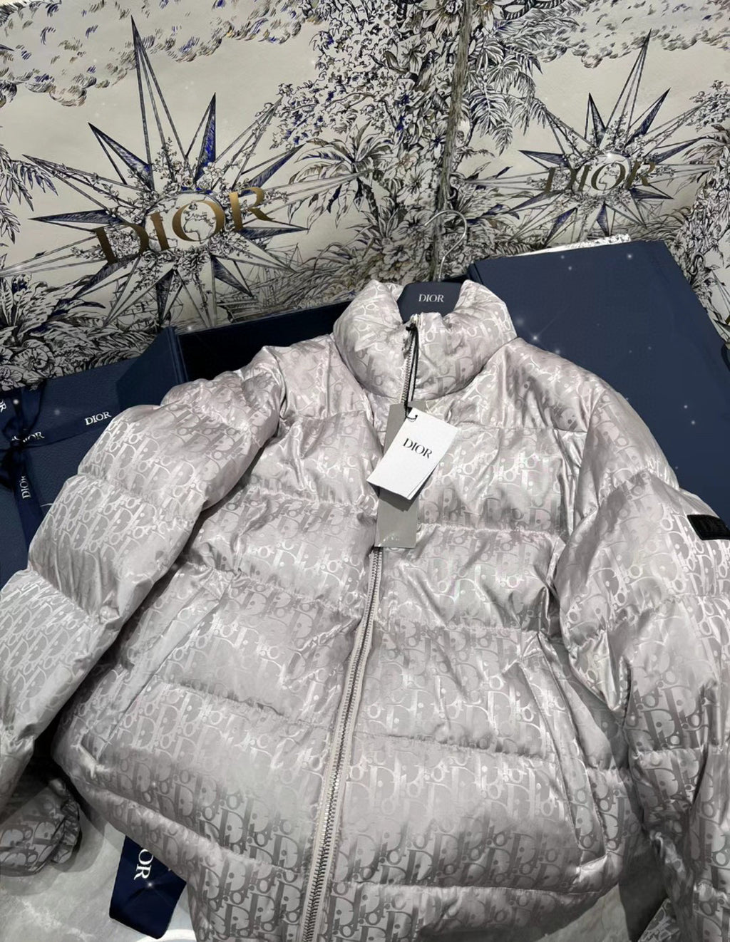 Dior Zipped Long Sleeve Dark Print Puffer Down Jacket #96591