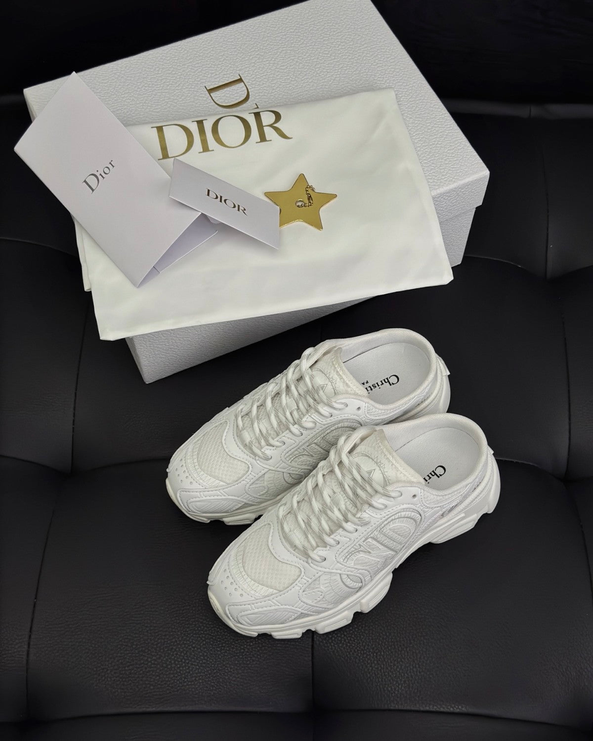 Dior Chrono Women's Spring/autumn Two-tone Mesh Fabric Round Toe Lace-up Slip-on Low-top Shoes Fashion Casual #78135