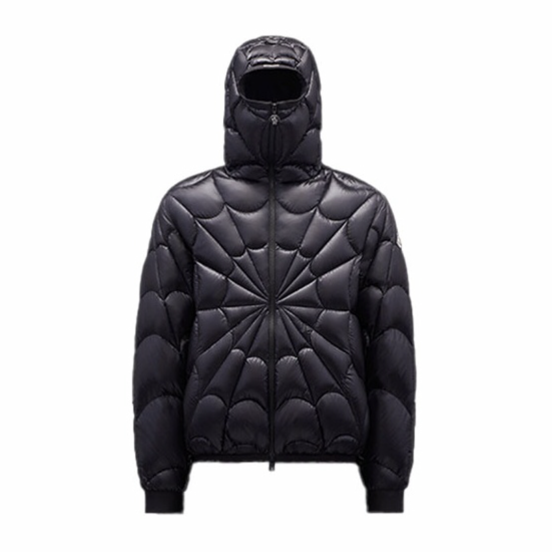 Moncler Black Hooded Long Sleeved Down Jacket #21941