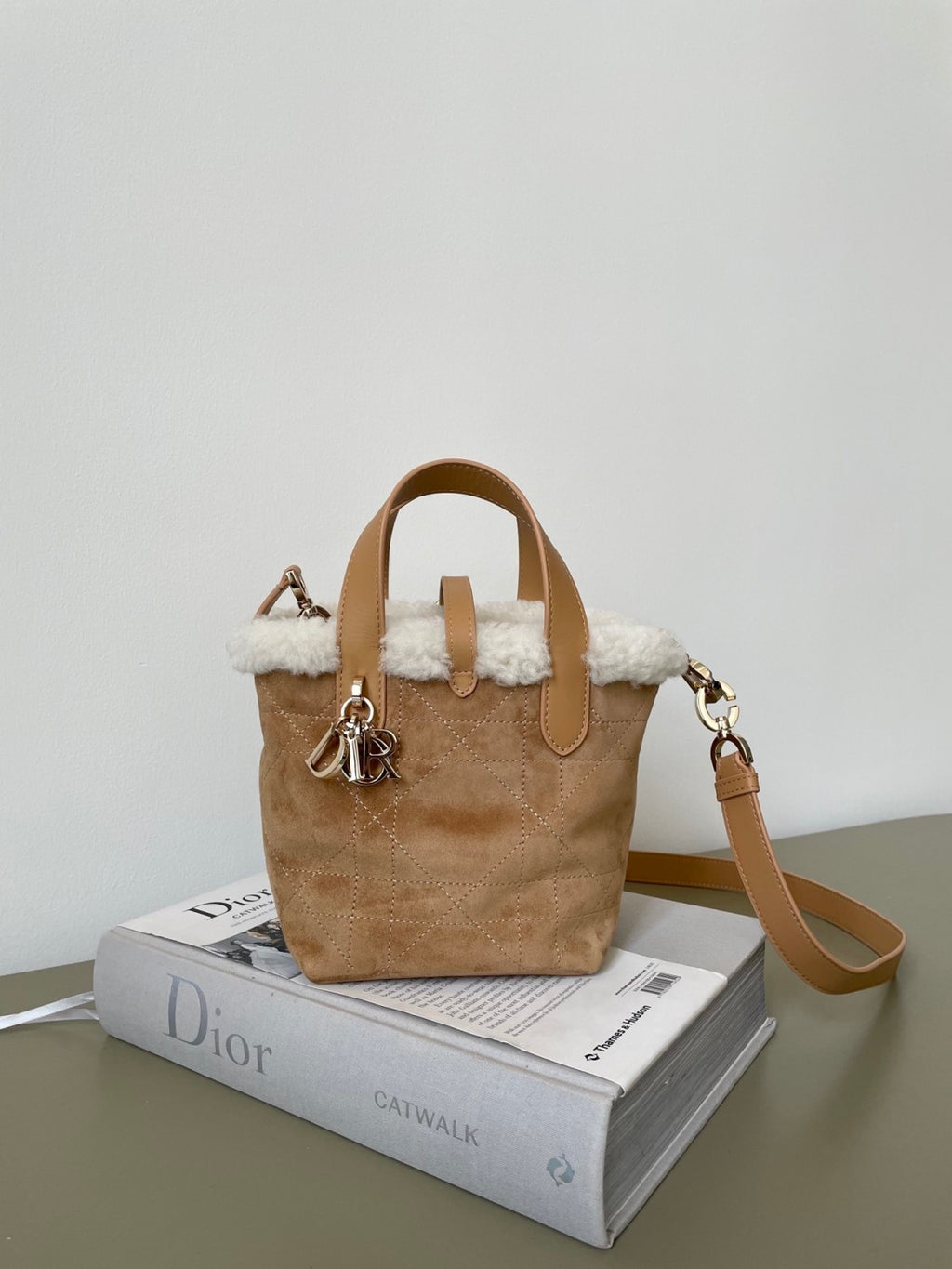 Dior Toujours Vertical Series Mini and Small Wool Model #333368