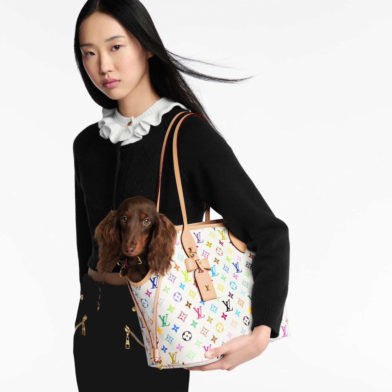 LOUIS VUITTON LV x TM Neverwoof Other Monogram Canvas #379229