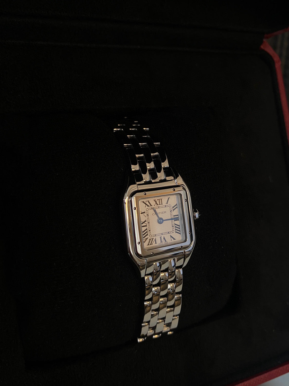 Cartier Cheetah Collection Silver Fashion Small Square Watch #96317