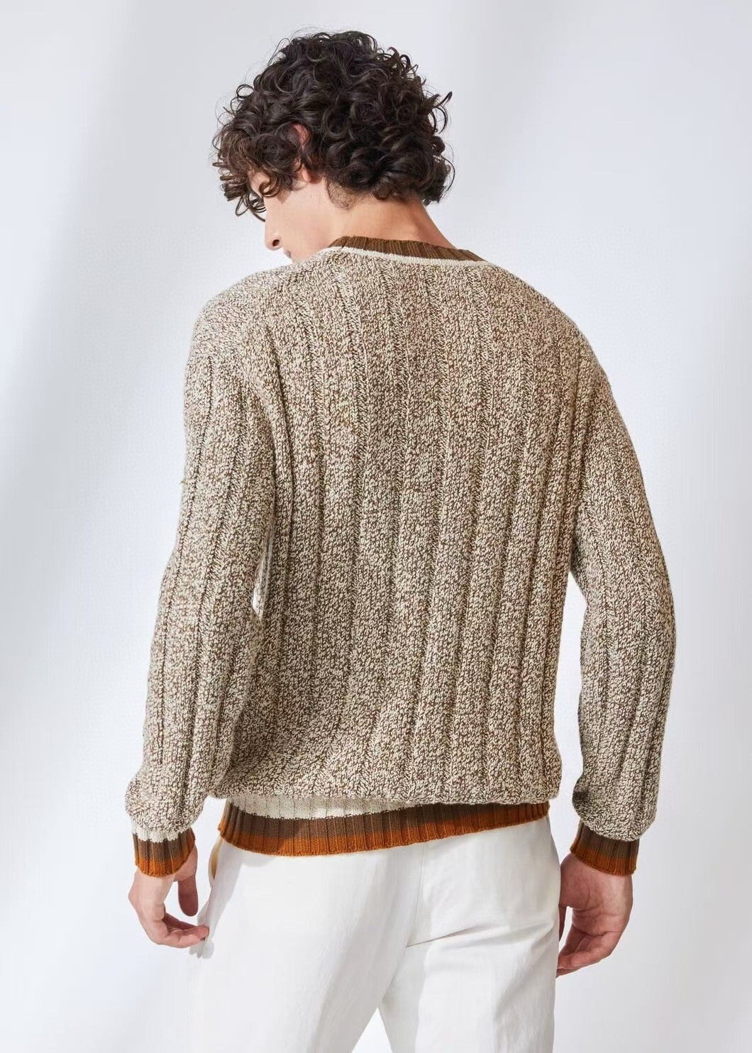 Loro Piana Men's Spring & Autumn Fashion Stripe Color Blocking Long Sleeve Knit Sweater Fit Cashmere Crew Neck Sweater Ngvp #9475