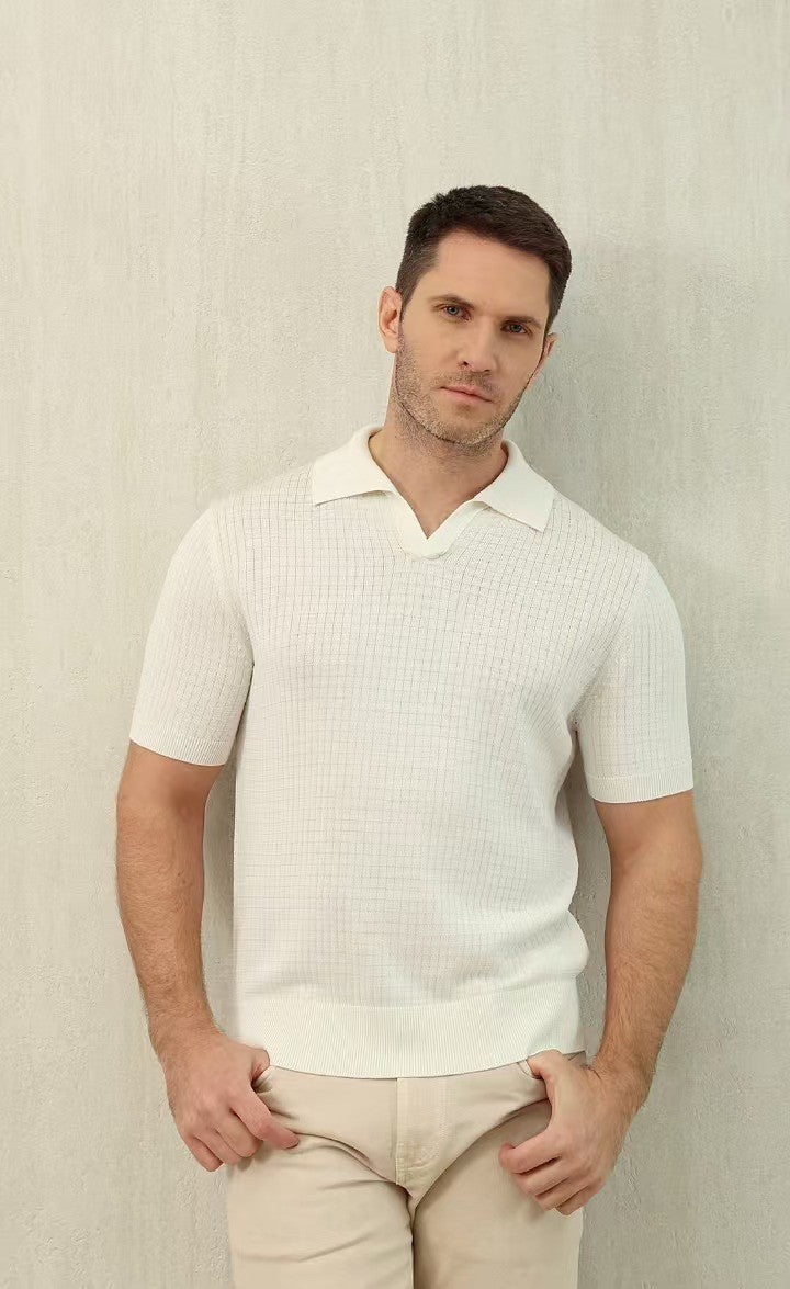 Loro Piana Men's Summer Refreshing Thin Knitted Lapel Short-sleeved Top Multicoloured Fashion Comfortable Temperament T-shirt Ngvp #9956