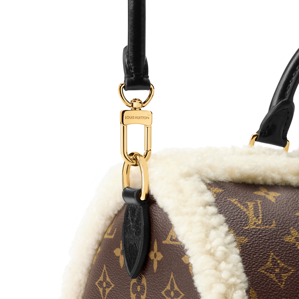 Louis Vuitton Women's Speedy Soft 30 Teddy H33 M26326 #335276