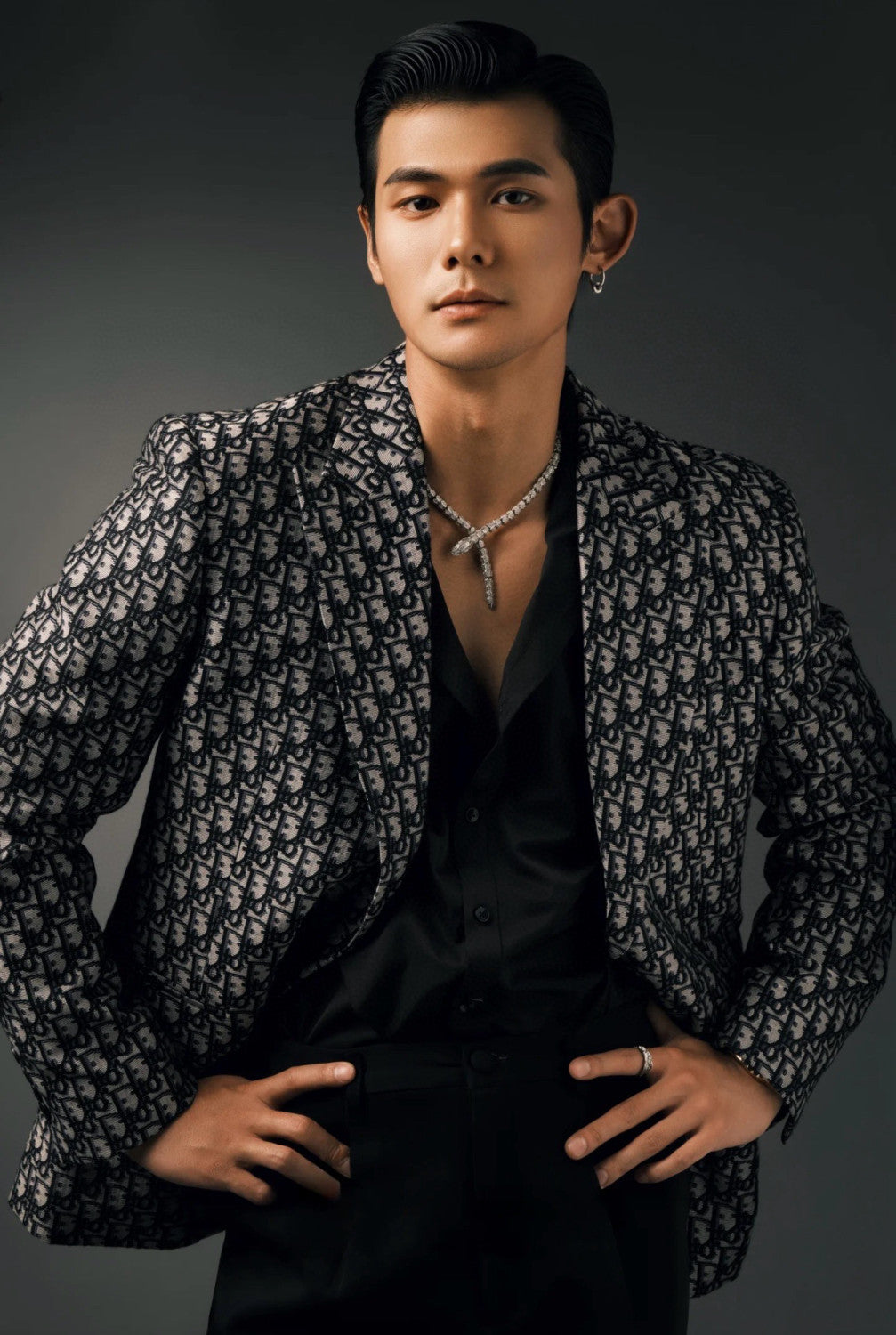 Dior Men's Fall/Winter Fashion Classic V Neck Single Breasted Jacquard Suit Jacket #79329