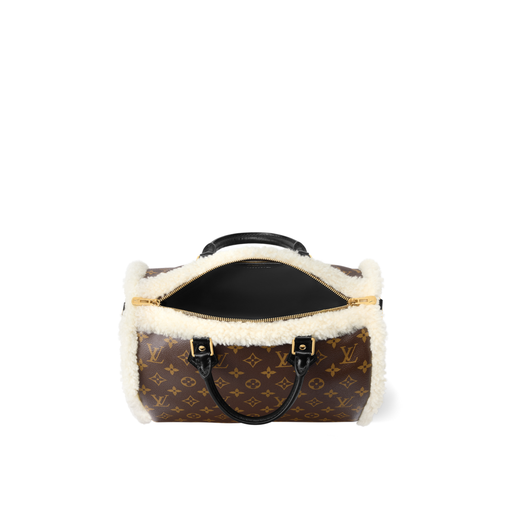 Louis Vuitton Women's Speedy Soft 30 Teddy H33 M26326 #335276