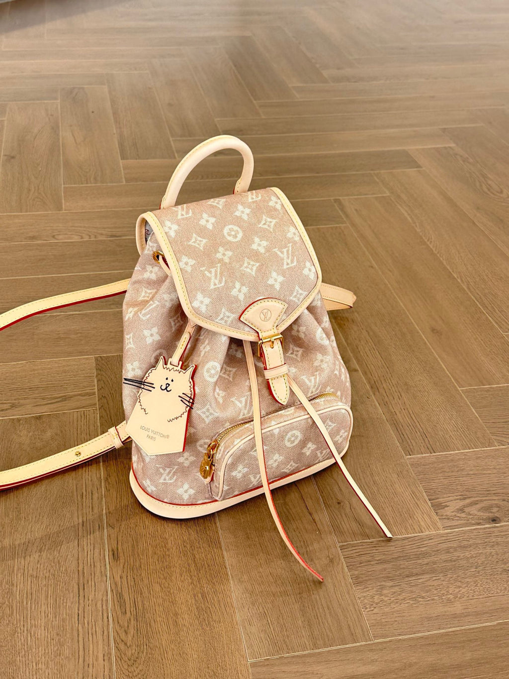 Louis Vuitton Women's Montsouris Small Backpack Meowgram Pattern M15135 #333211