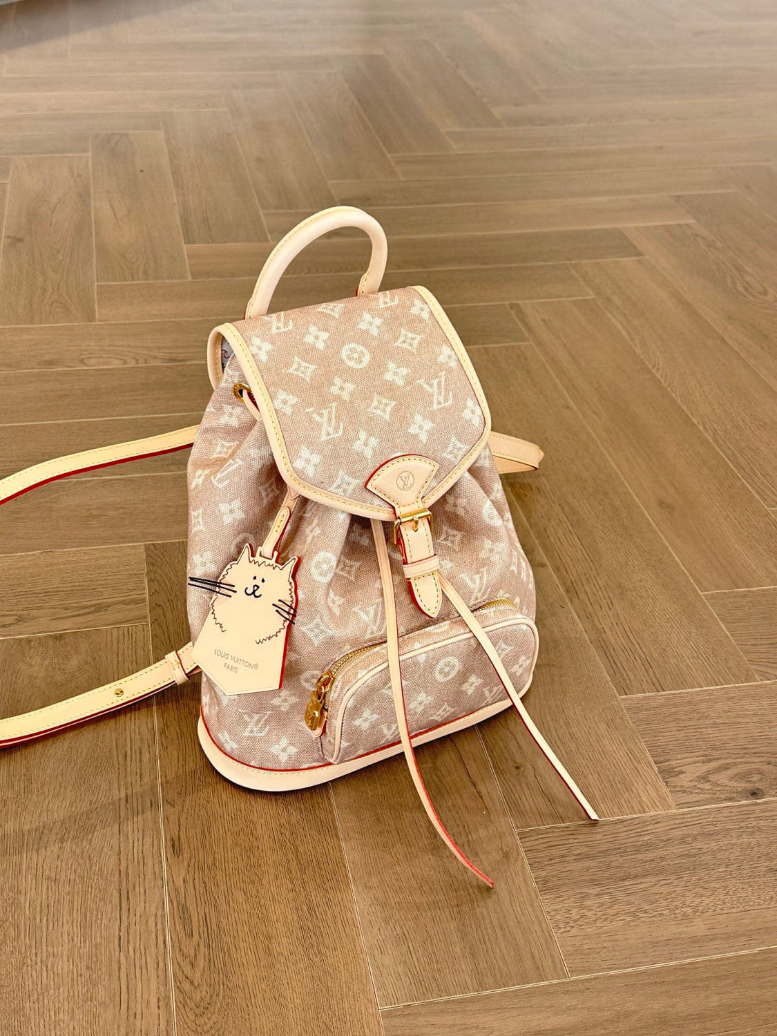 Louis Vuitton Women's Montsouris Small Backpack Meowgram Pattern M15135 #333211