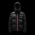 Moncler Men's Winter Standing Collar Hooded Zip Puffer Down Jacket Coat #97559