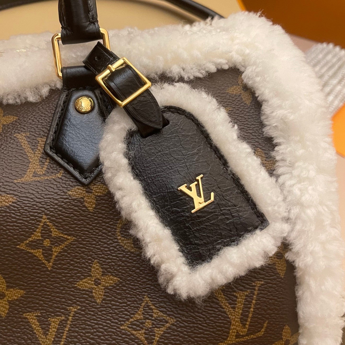 Louis Vuitton Women's Speedy Soft 30 Teddy H33 M26326 #335276
