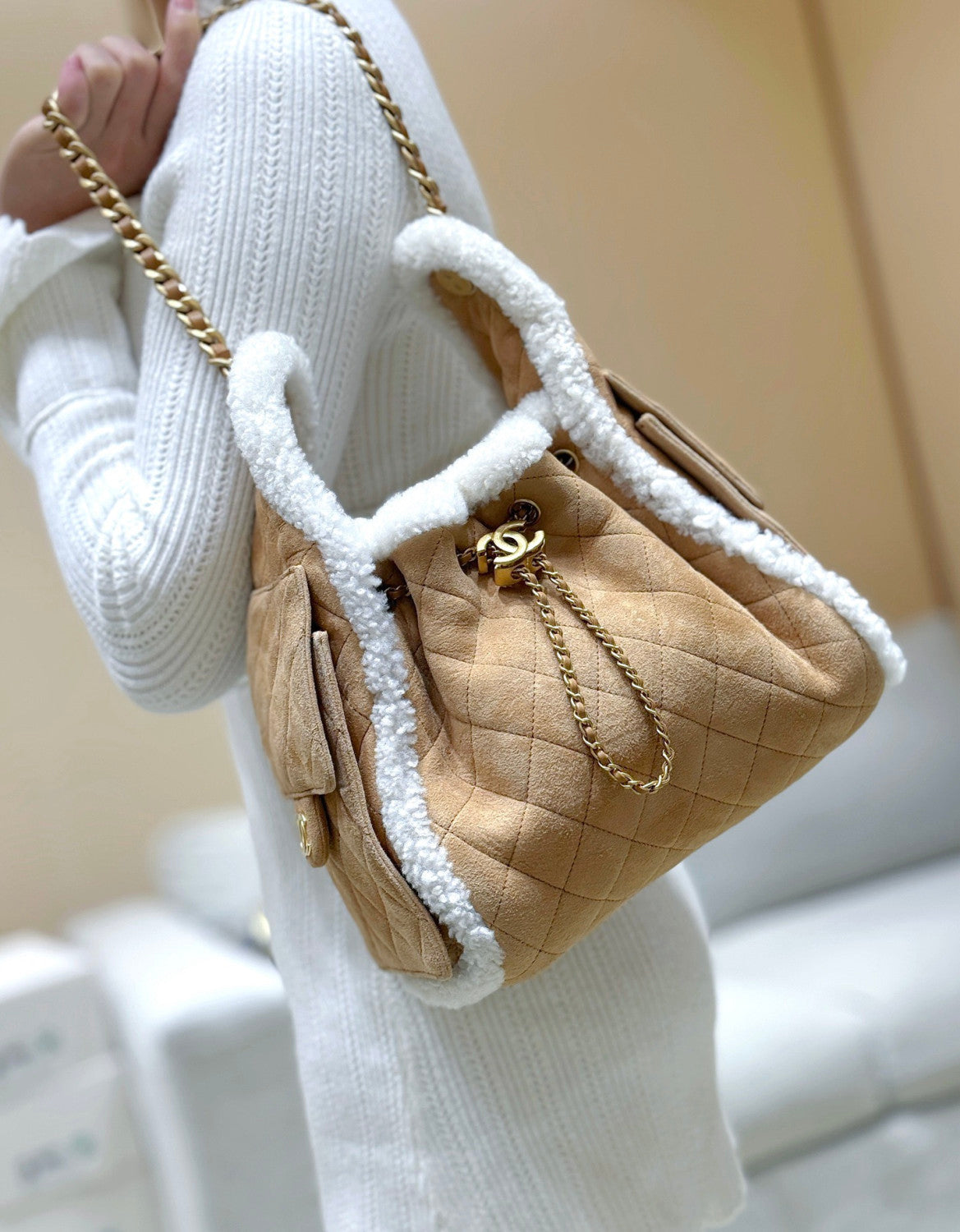 Chanel 25K Teddy Handbag #376285