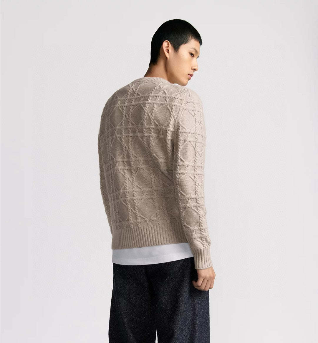 Dior Men's Spring and Autumn Solid Color Printed Ribbed Crew Neck Knit Sweater #75185