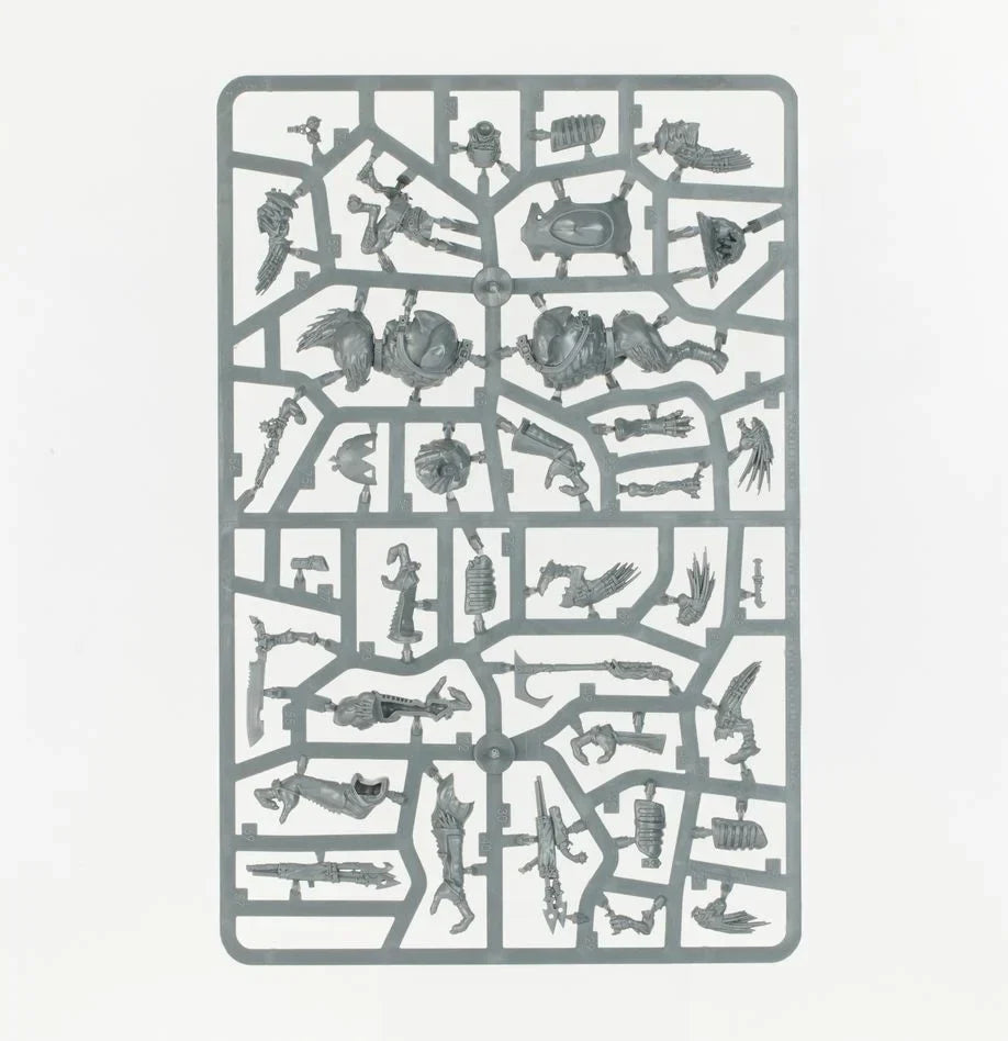 Warhammer 40.000 T'au Empire Army Set: Kroot Hunting Pack
