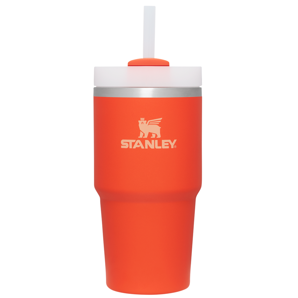 The Quencher H2.0 FlowState??Tumbler | 20 OZ