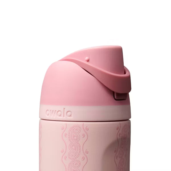 Owala 24fl oz Stainless Steel Special Edition FreeSip Water Bottle - Painted Canyon
