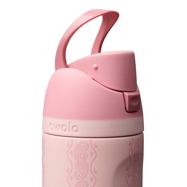 Owala 24fl oz Stainless Steel Special Edition FreeSip Water Bottle - Painted Canyon