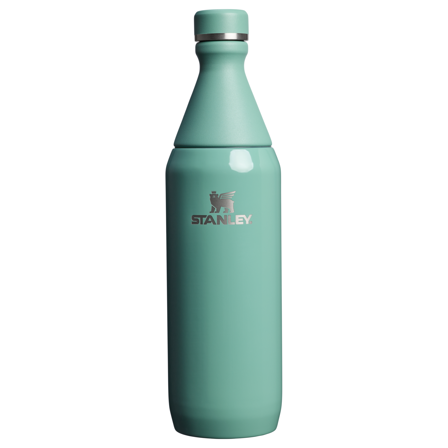 All Day Slim Bottle | 20 OZ