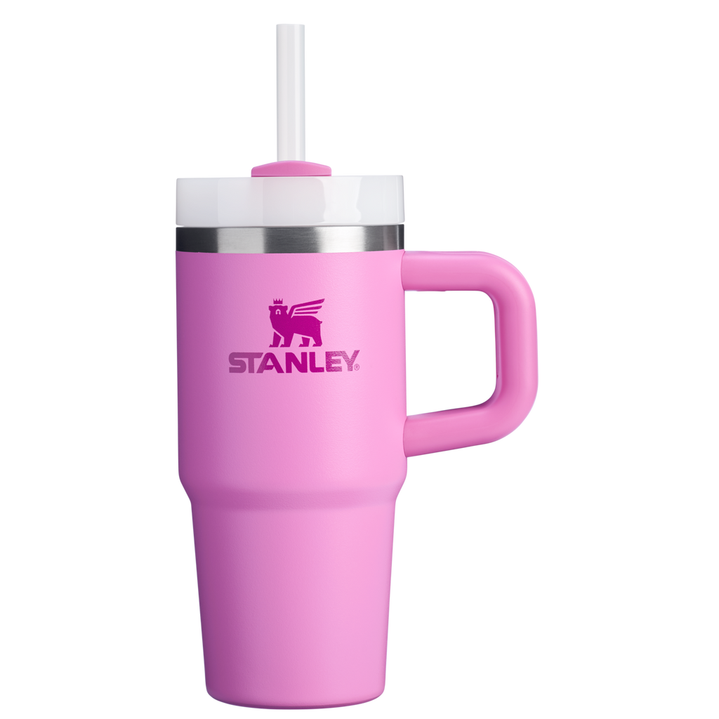 The Quencher H2.O FlowState??Tumbler | 14 OZ - Stanley Create