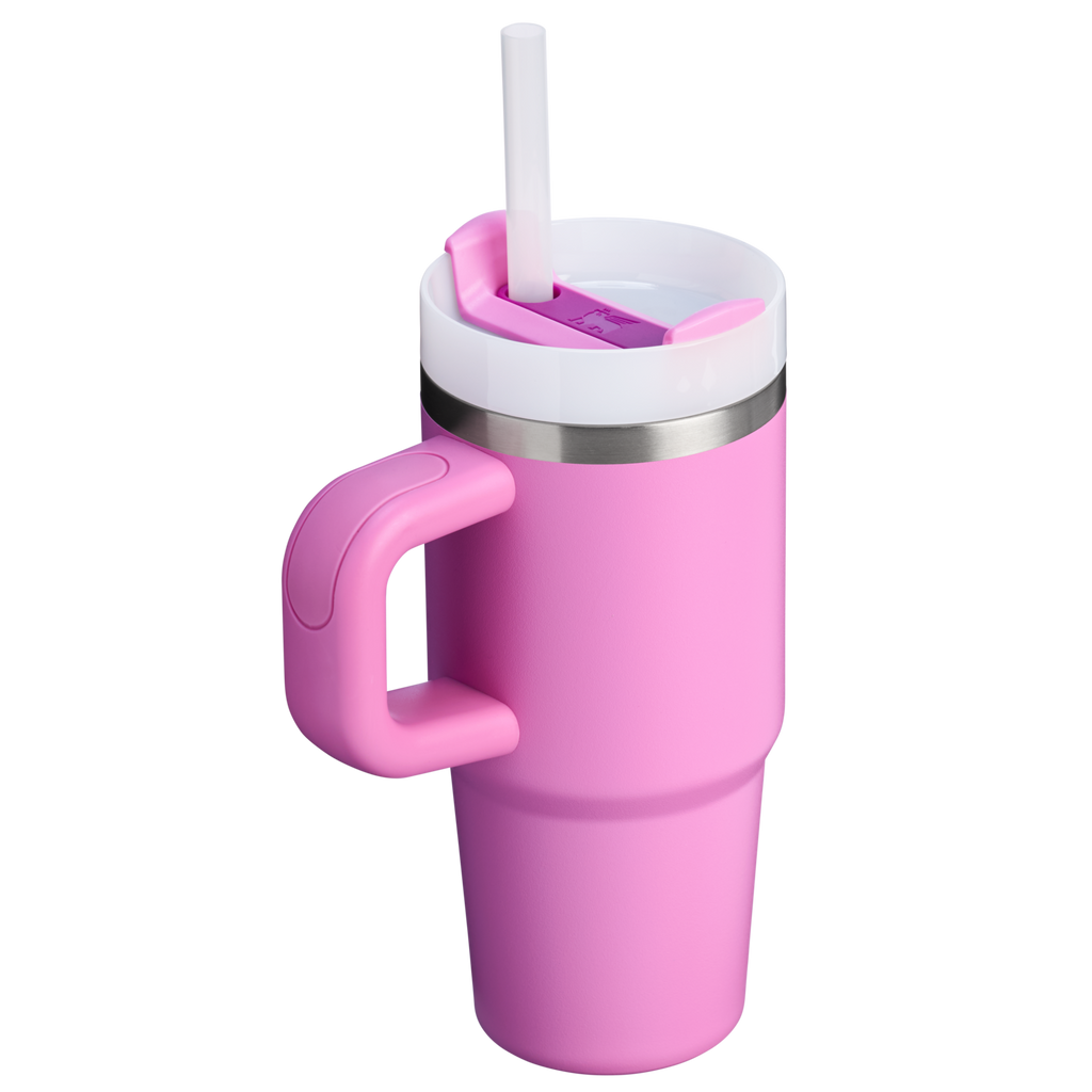 The Quencher H2.O FlowState??Tumbler | 14 OZ - Stanley Create