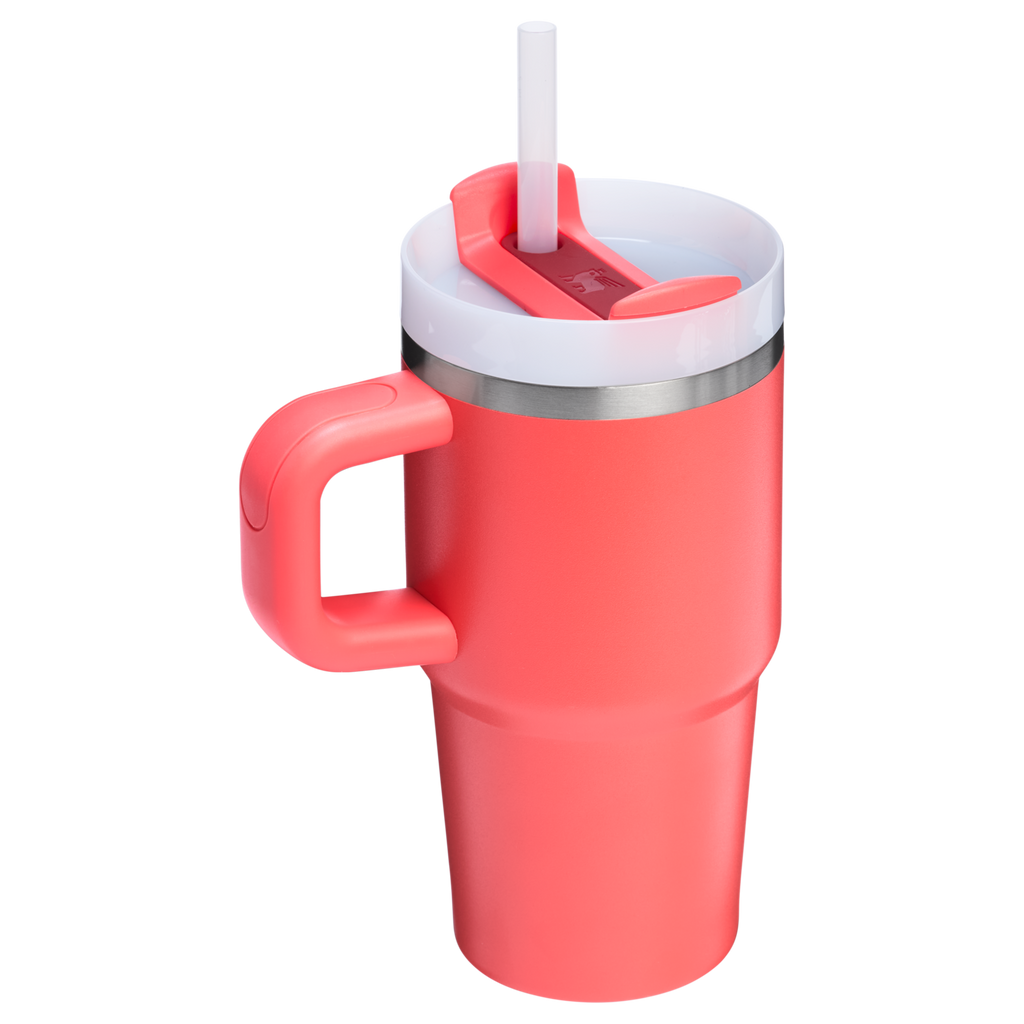 The Quencher H2.O FlowState??Tumbler | 20 OZ