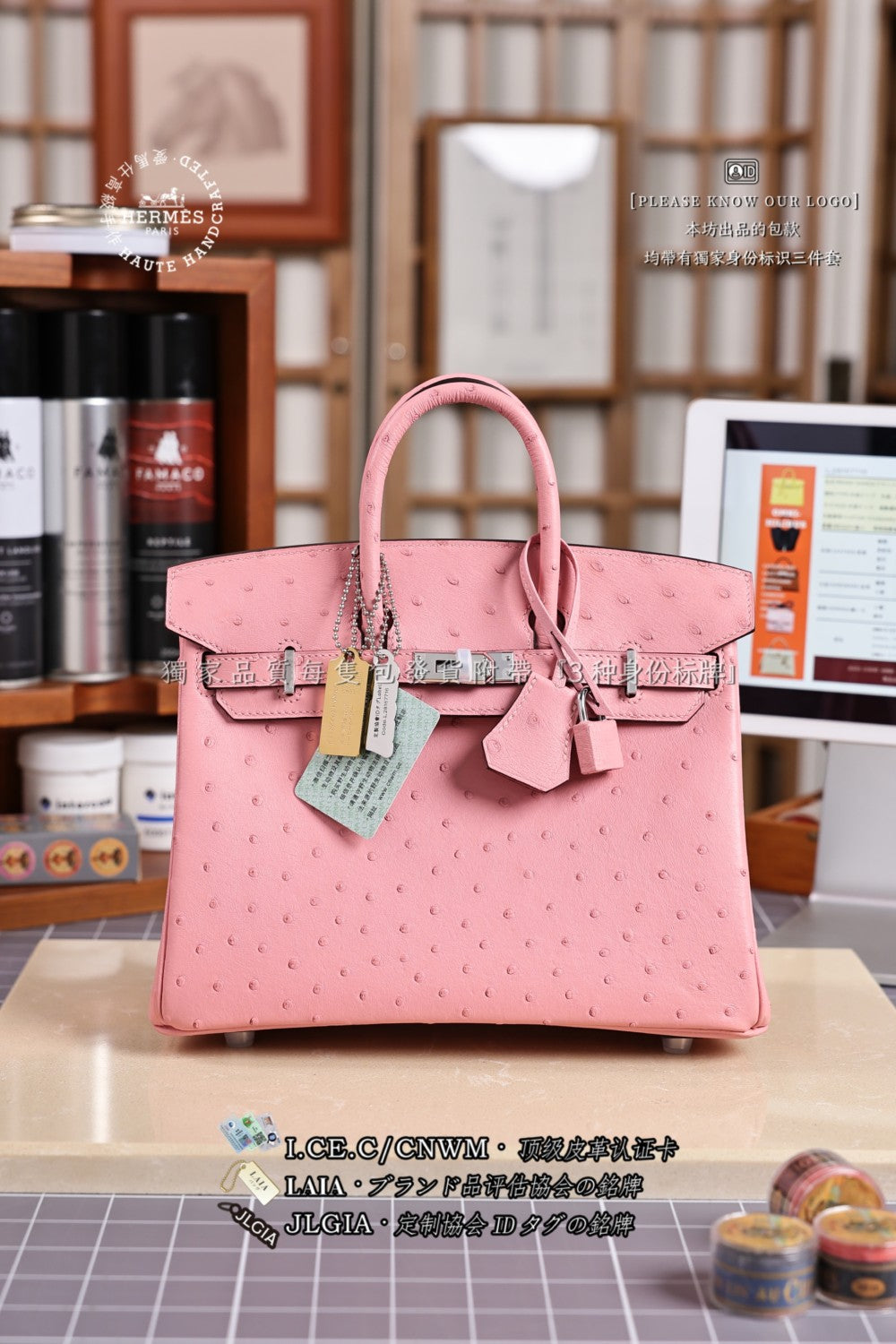Hermes Women's Birkin 25 Ostrich Leather Platinum Bag With Silver Buckle Handbag Casual Solid Color Bag Bags H041944CK94 #2137