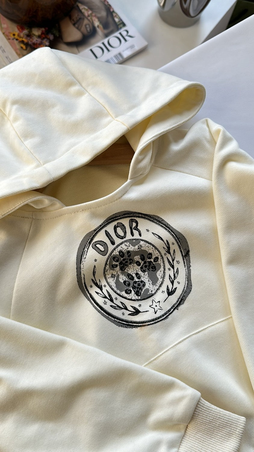 Dior Kid's Spring And Autumn Solid Color Letter Print Long Sleeve Hooded Sweatshirt Fashion Cotton Sweatpants Set #31258