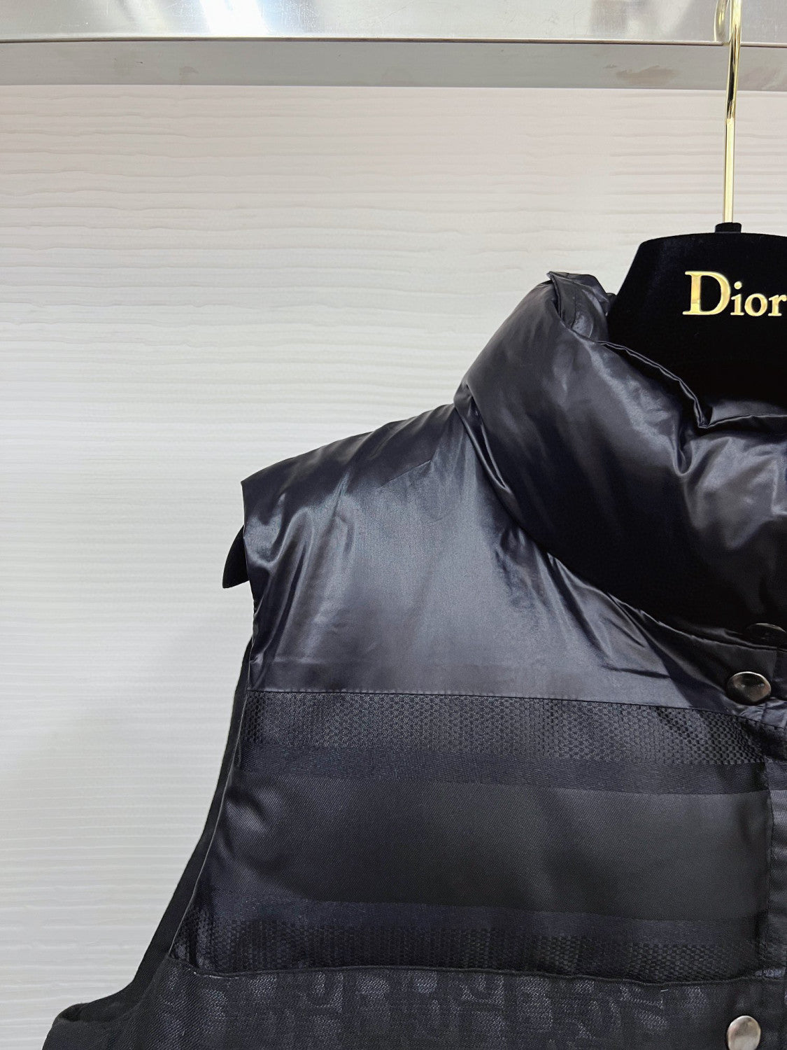 Dior ALPS Leather Printed Sleeveless Down Vest #96475