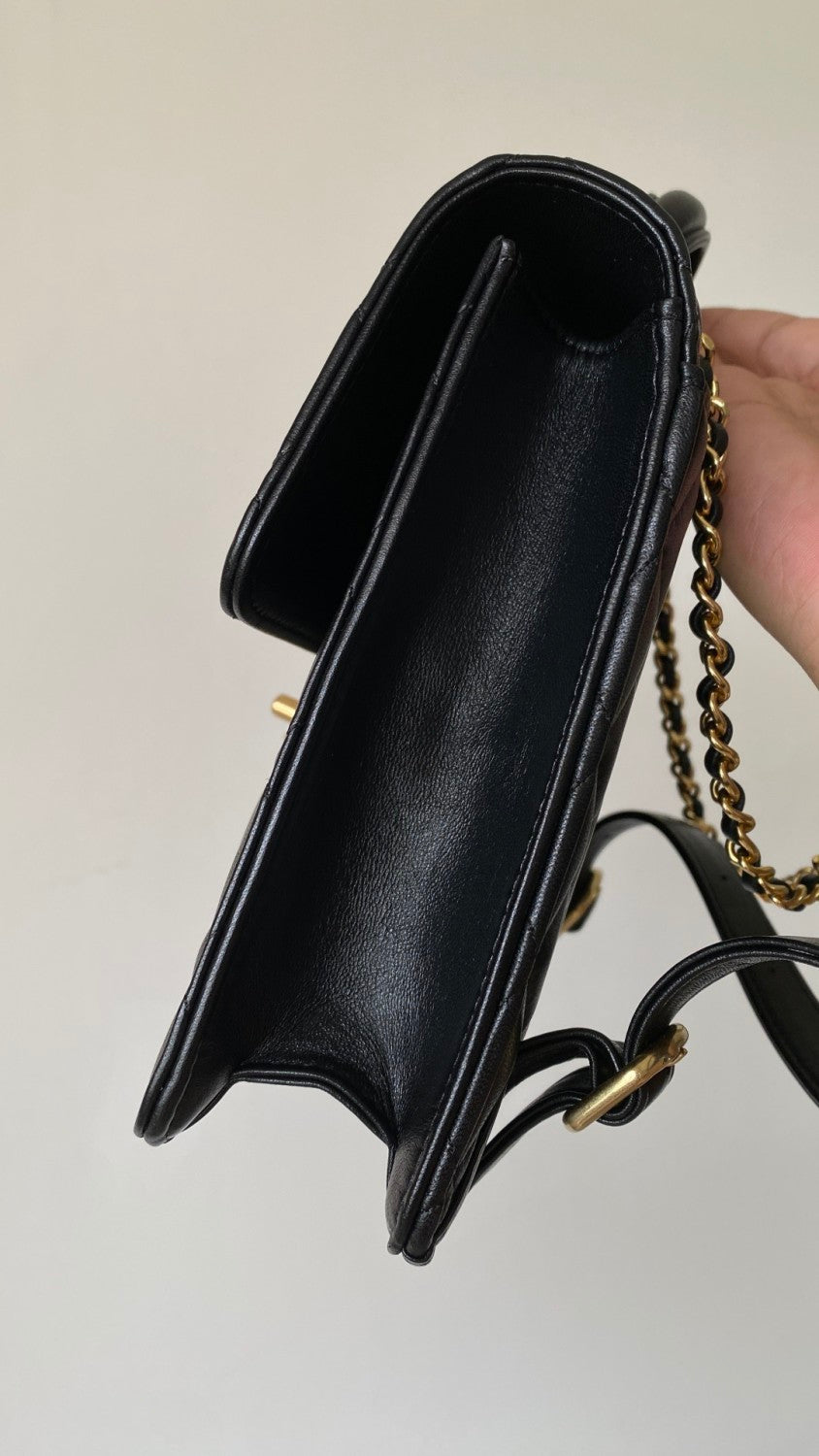 Chanel Chain WalletIn Polished Lambskin And Gold Tone Metal Retro College Style Backpack #332641