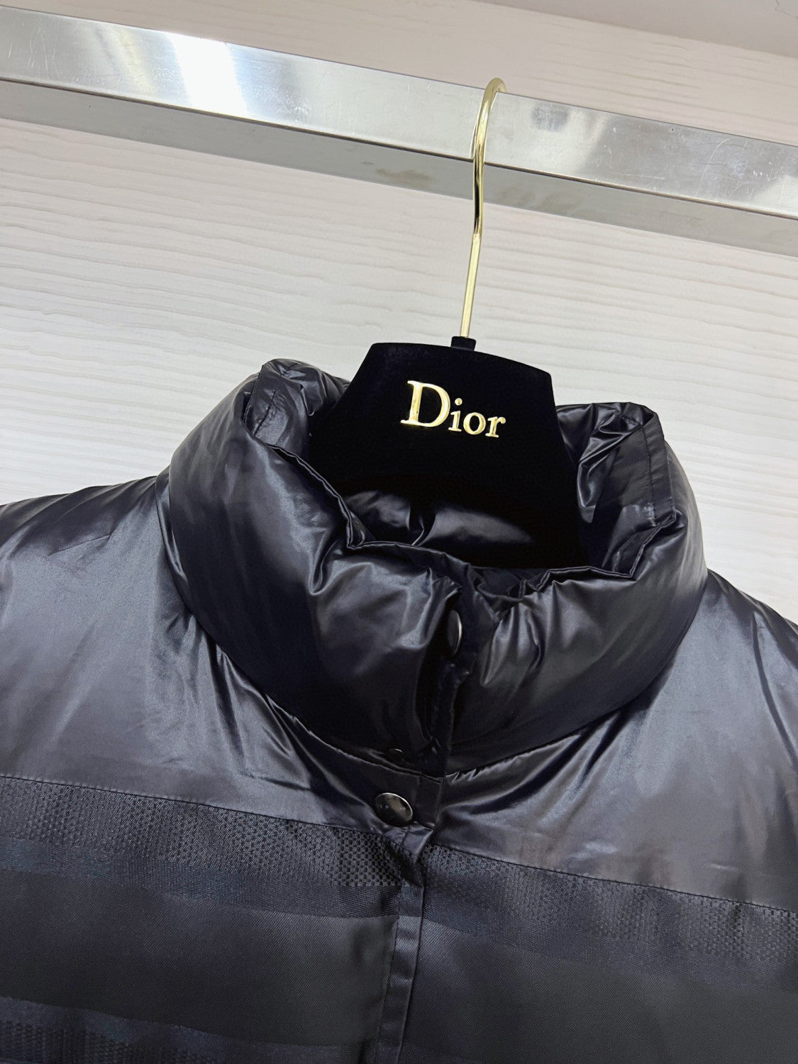 Dior ALPS Leather Printed Sleeveless Down Vest #96475