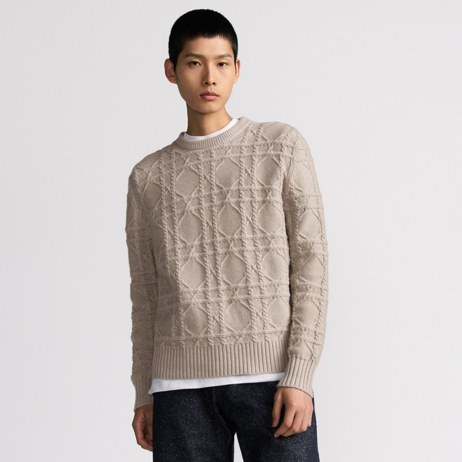Dior Men's Spring and Autumn Solid Color Printed Ribbed Crew Neck Knit Sweater #75185