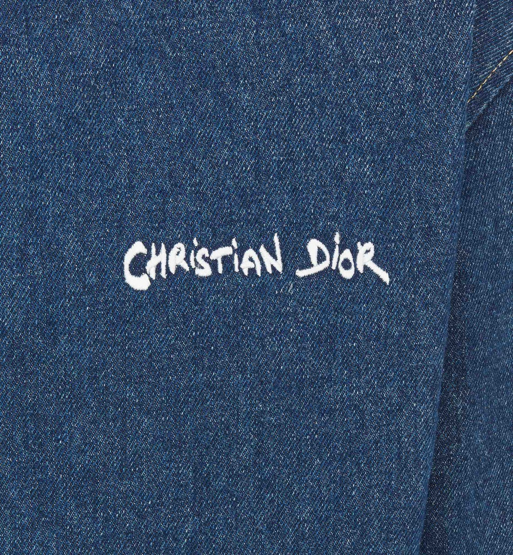 Dior Men's Spring And Fall Navy Blue Letter Print Zipper Hooded Long Sleeve Jacket #73271