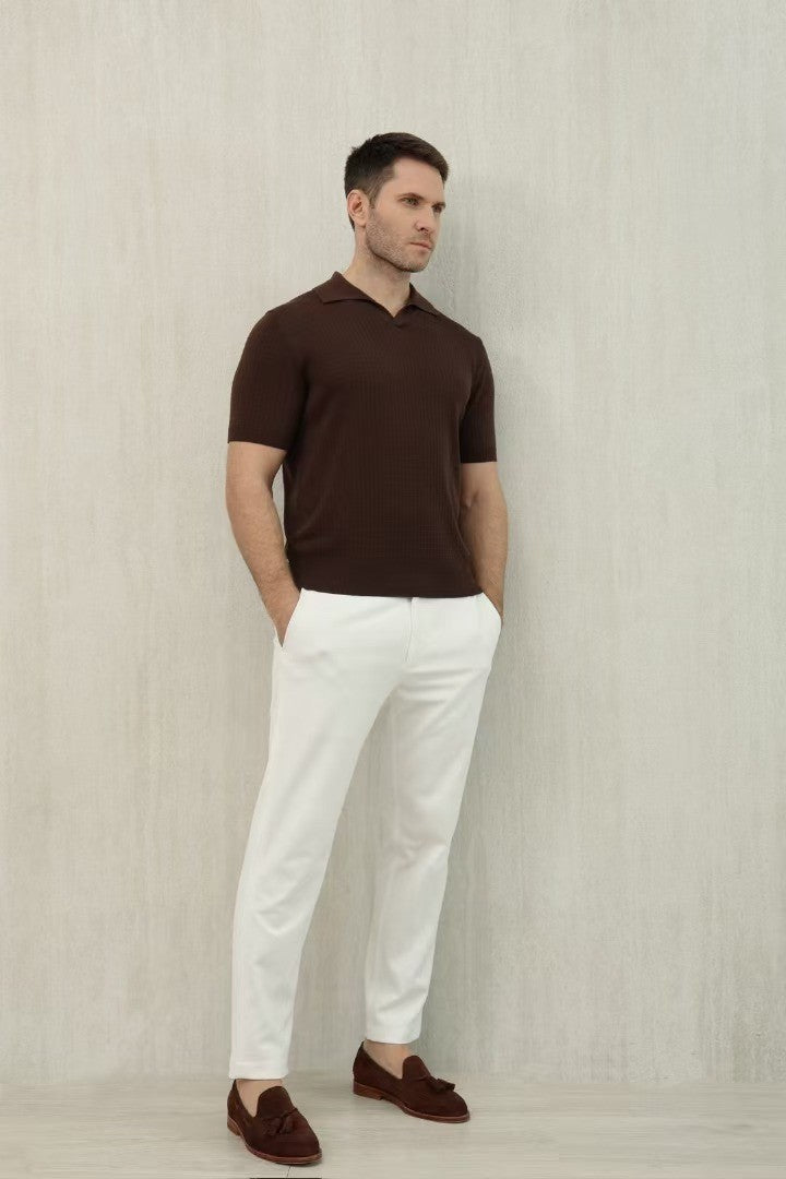 Loro Piana Men's Summer Refreshing Thin Knitted Lapel Short-sleeved Top Multicoloured Fashion Comfortable Temperament T-shirt Ngvp #9956