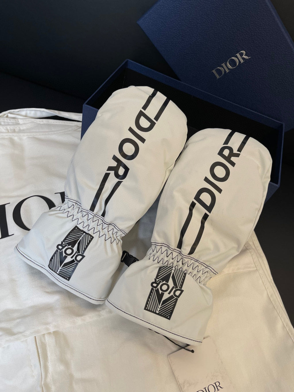 Dior Ski Jacket Pants Gloves 3 Piece Set Suit #96688