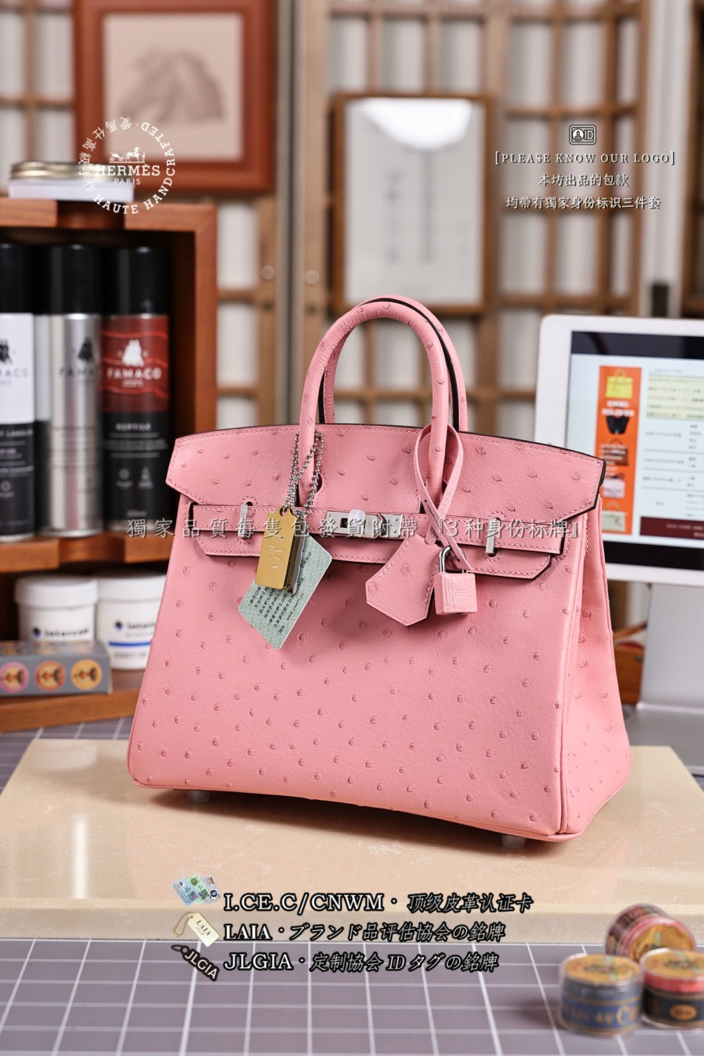 Hermes Women's Birkin 25 Ostrich Leather Platinum Bag With Silver Buckle Handbag Casual Solid Color Bag Bags H041944CK94 #2137