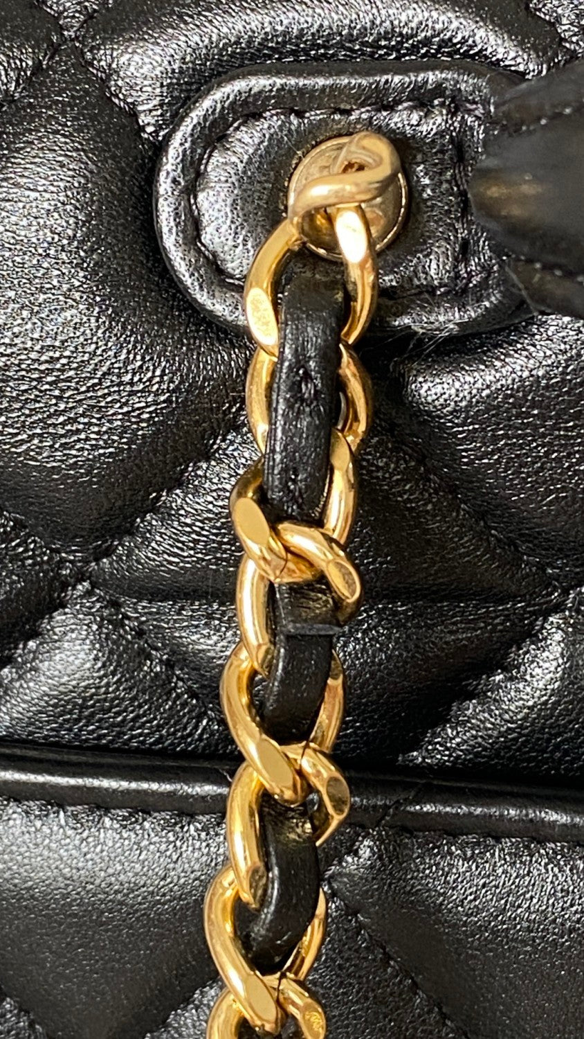Chanel Chain WalletIn Polished Lambskin And Gold Tone Metal Retro College Style Backpack #332641