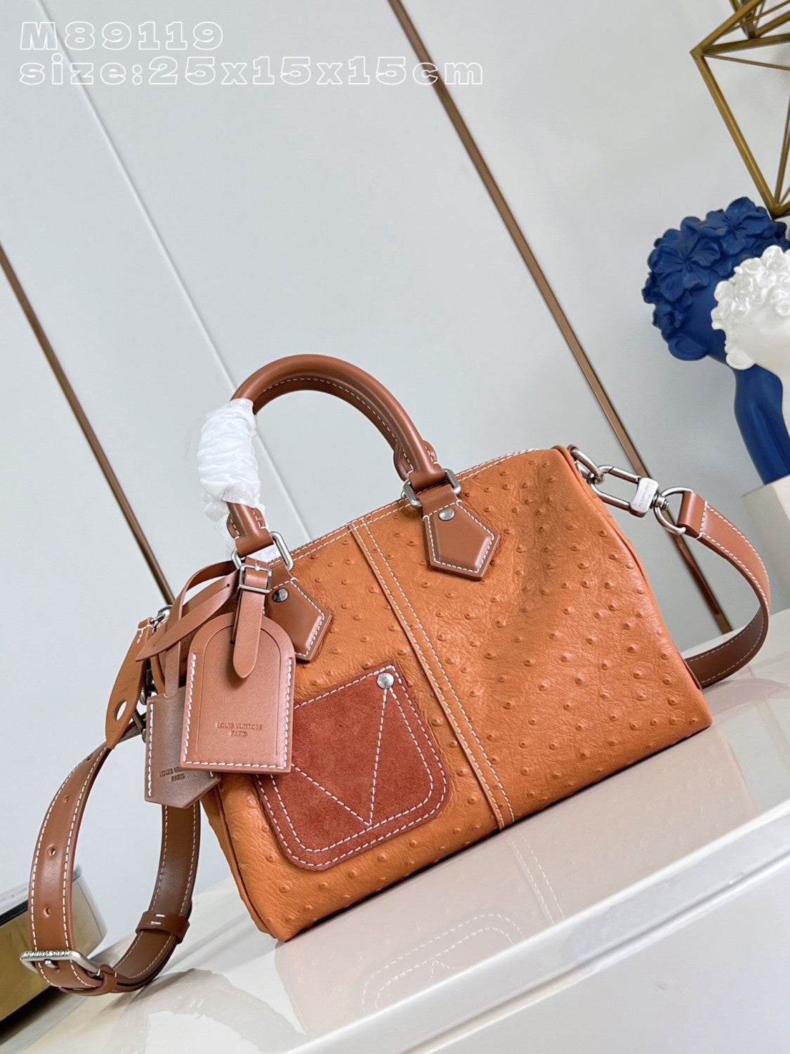 Louis Vuitton Lv Show Men's Speedy 25 Exotic Ostrich N89119 #377227