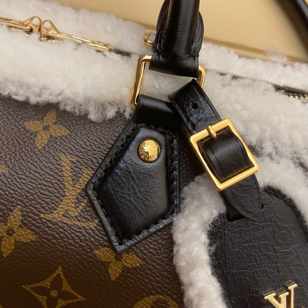 Louis Vuitton Women's Speedy Soft 30 Teddy H33 M26326 #335276