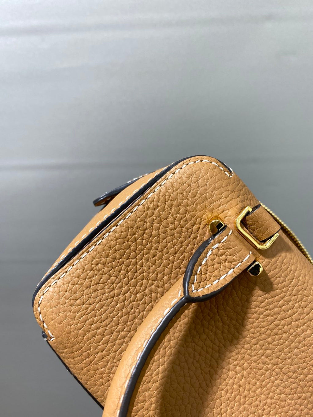 Delvaux Women's Solid Color Detachable Shoulder Strap Grained Calfskin Shoulder Handbag Bag Bags #76171