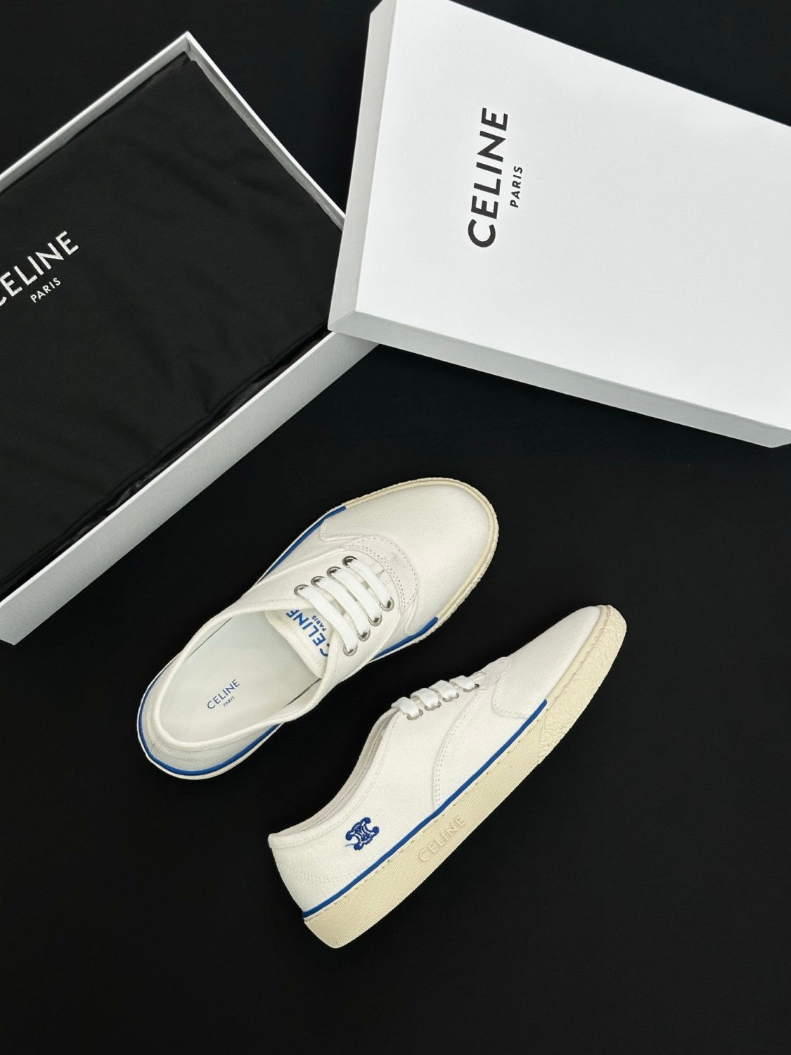 CELINE ALAN SNEAKER IN CANVAS AND SUEDE CALFSKIN #386821