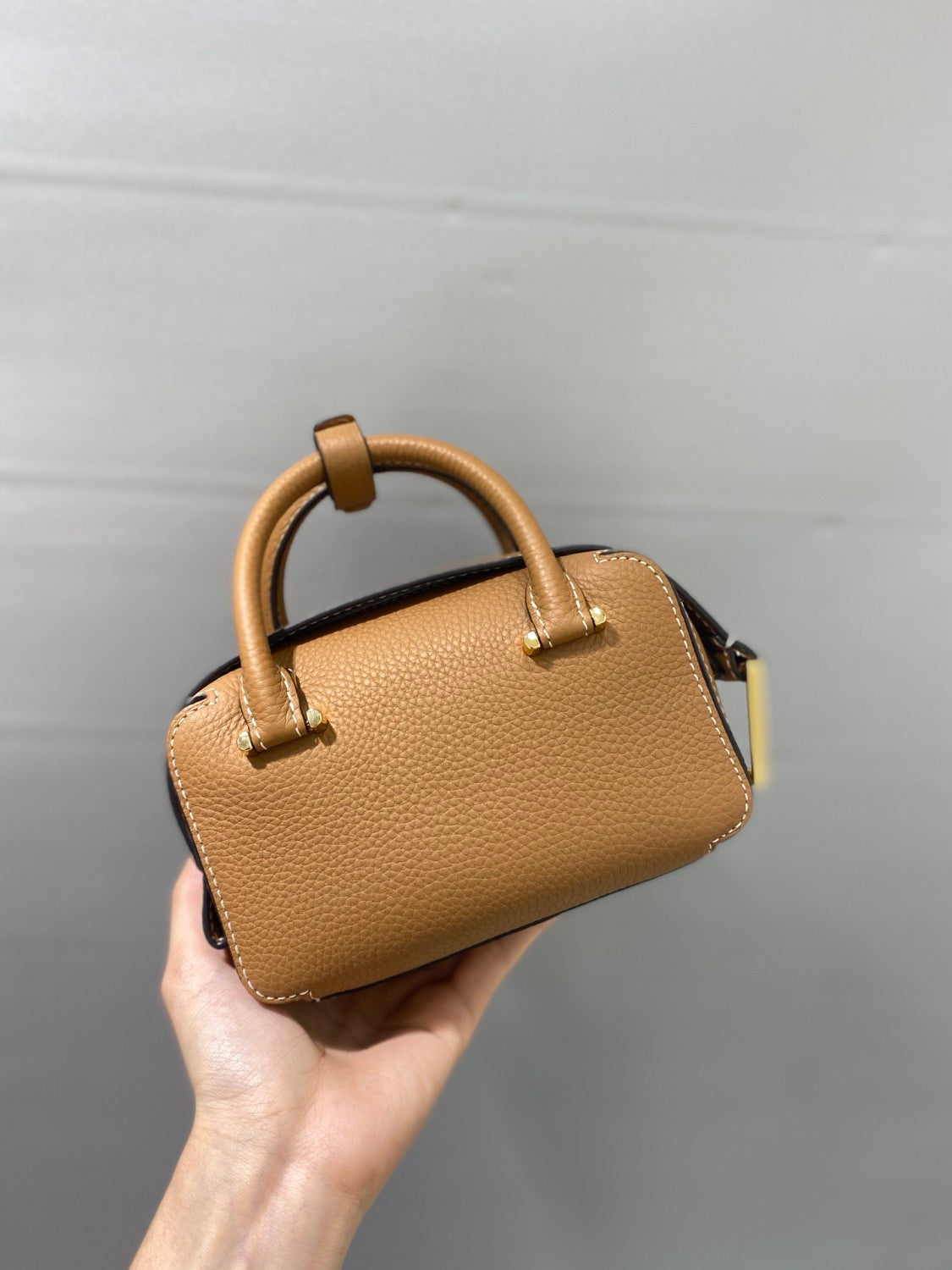 Delvaux Women's Solid Color Detachable Shoulder Strap Grained Calfskin Shoulder Handbag Bag Bags #76171