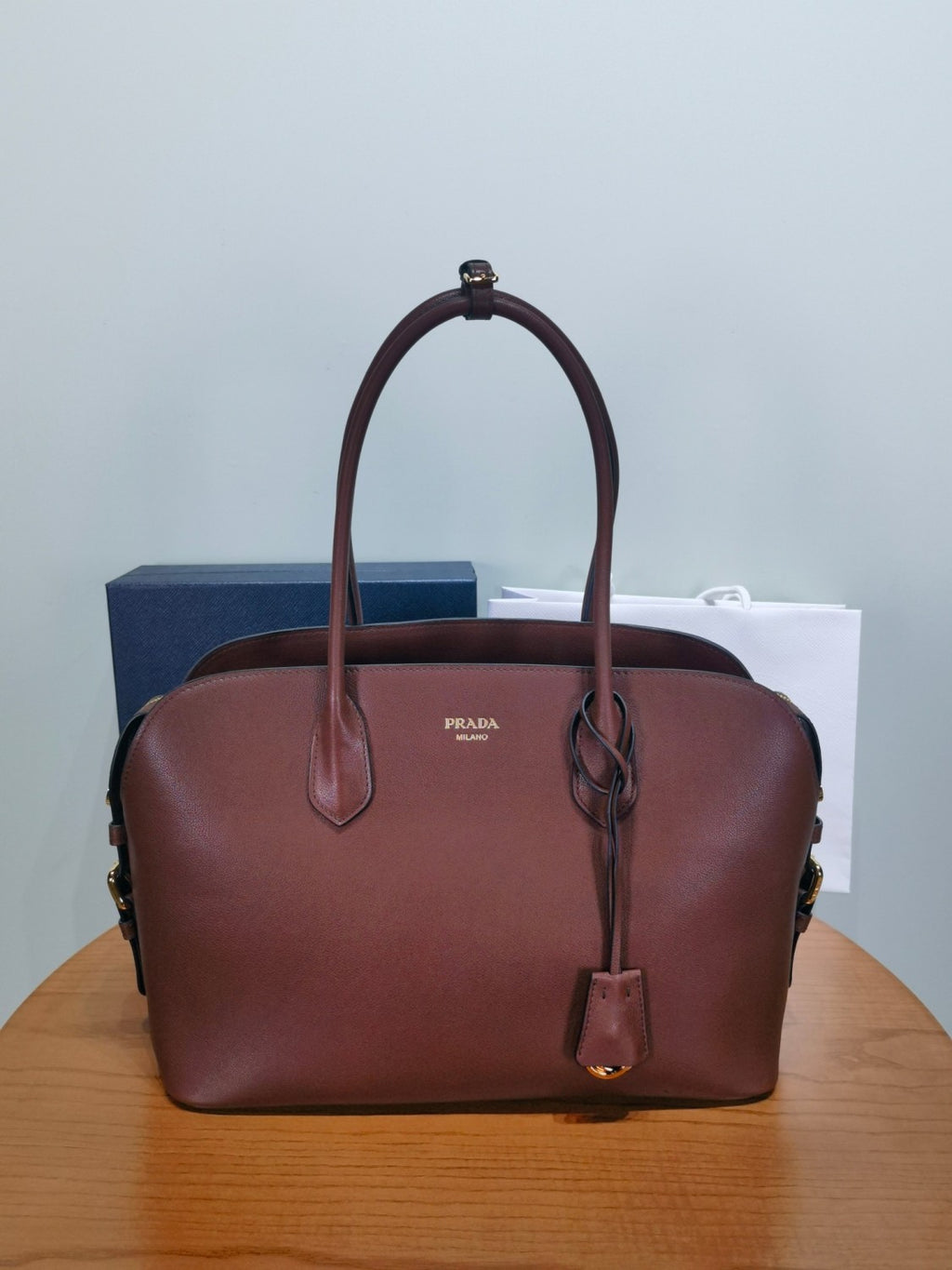 Prada Women's Spring/summer Brown Handbag Stylish Elegant And Classic Tote Bag Bags 1BG6002HFQVOOOF0LU3 #84322A