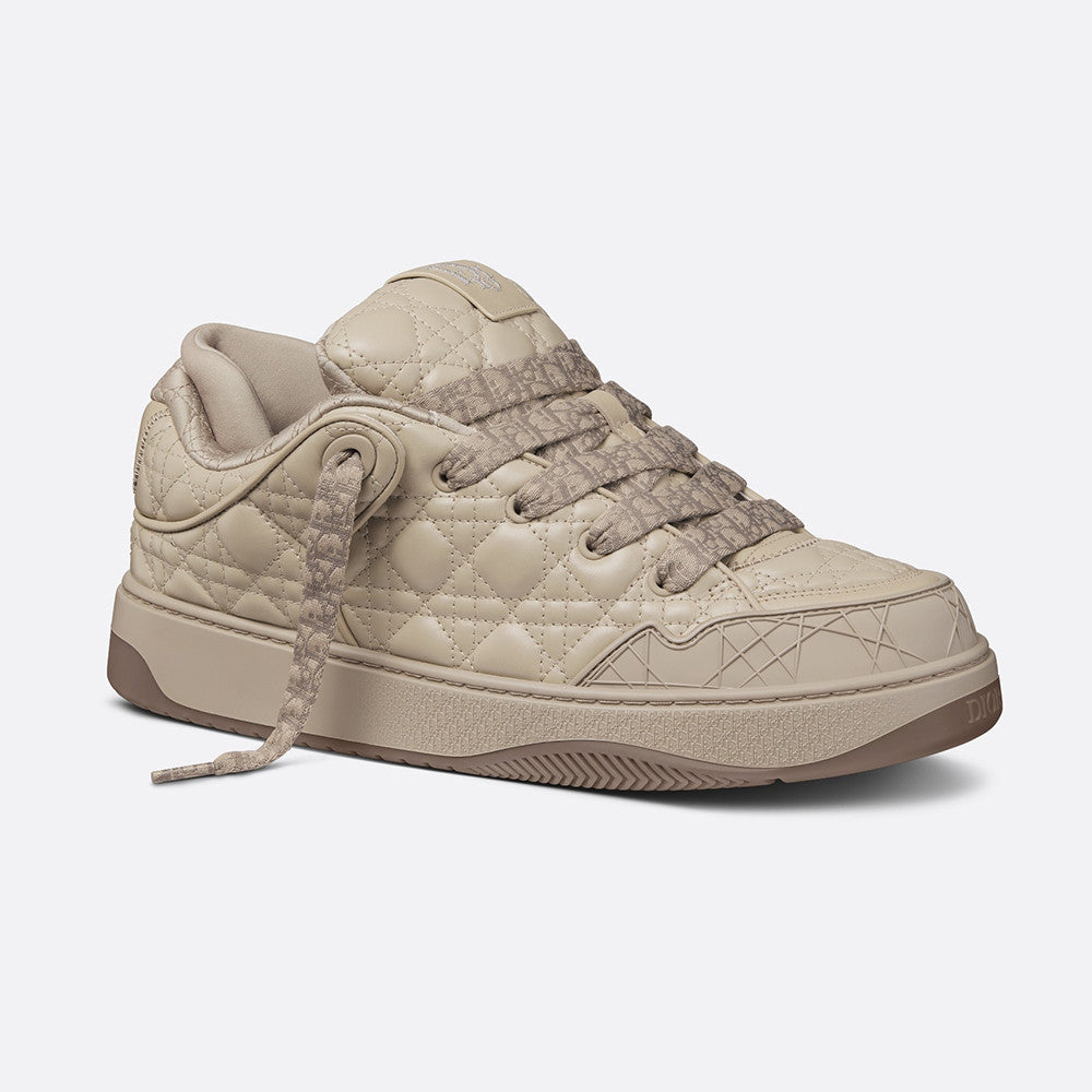 Dior B9s Skater Sneaker Limited and Numbered Edition #315016