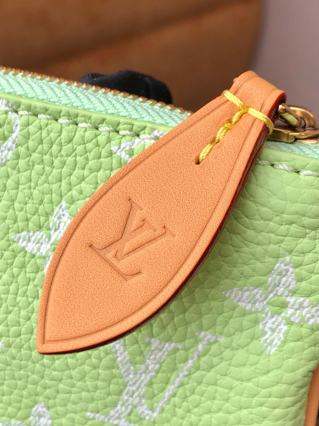 Louis Vuitton Women's Fashion Classic Avocado Green Logo Zipper Closure Leather Shoulder Bag Handbags In Small Medium And Large Sizes Crossbody Bag Bags #78663